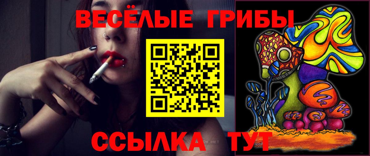 Галлюциногенные грибы прущие грибы Ейск